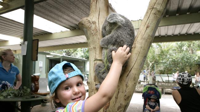 School holiday activities with children at Featherdale Wildlife Park. Ruby Fibbens, 4, patting a koala.