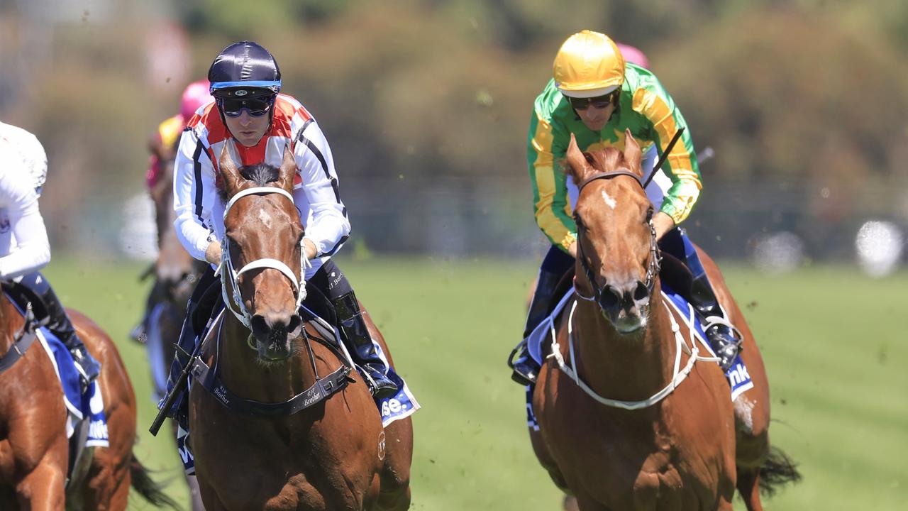 Global Ausbred (right) is ready to peak third-up. Picture: Getty Images