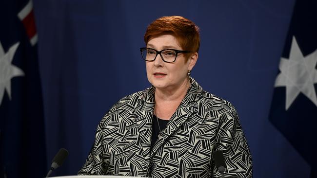 Foreign Minister Marise Payne. Picture: NCA NewsWire/Bianca De Marchi