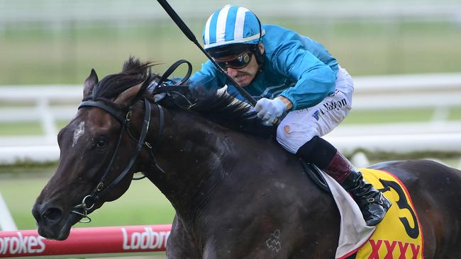 Fukubana gave a glimpse of his potential with Saturday’s win at Doomben. Picture: Natasha Wood/Trackside Photography