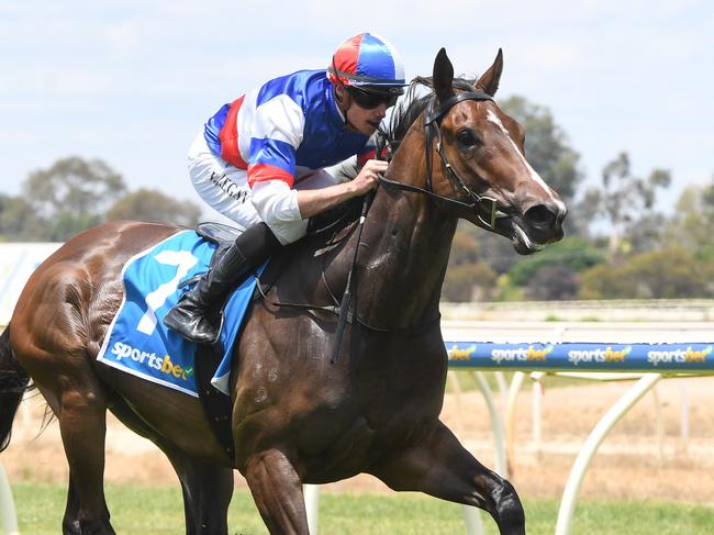 The Open ridden by Billy Egan wins the Ovens Ford Wangaratta Maiden Plate at Wangaratta Racecourse on January 02, 2024 in Wangaratta, Australia. (Photo by Brett Holburt/Racing Photos)