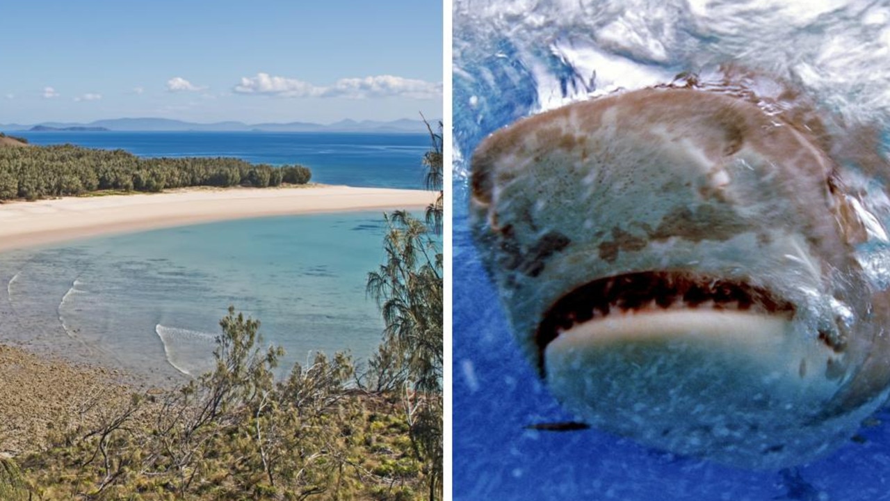 Man fishing with family off Qld coast before deadly shark attack