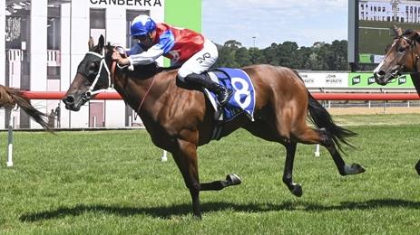 Margaret's Missile can break through for her maiden win at Forbes. Picture: Bradley Photos