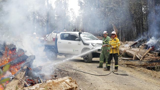 Michael Cassey, STT and Justin Fashion, GPM attend the fire front south of Geeveston. Picture: RICHARD JUPE