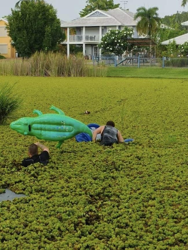 Two men bravely dived into a weed ridden lake in Palmerston with a blow up croc and thong to save an exhausted pooch, Jaxon, from drowning. Picture: Supplied.