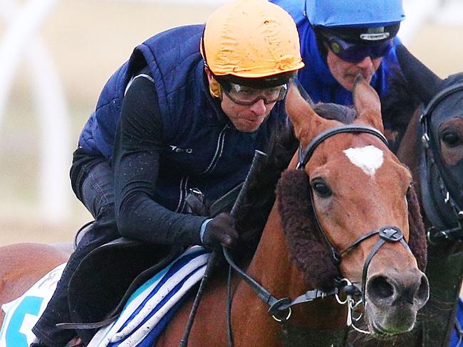 MELBOURNE, AUSTRALIA - OCTOBER 31:  Jockey Kerrin McEvoy rides Cross Counter ahead of Folkswood during a Werribee trackwork session at Werribee Racecourse on October 31, 2018 in Melbourne, Australia.  (Photo by Michael Dodge/Getty Images)