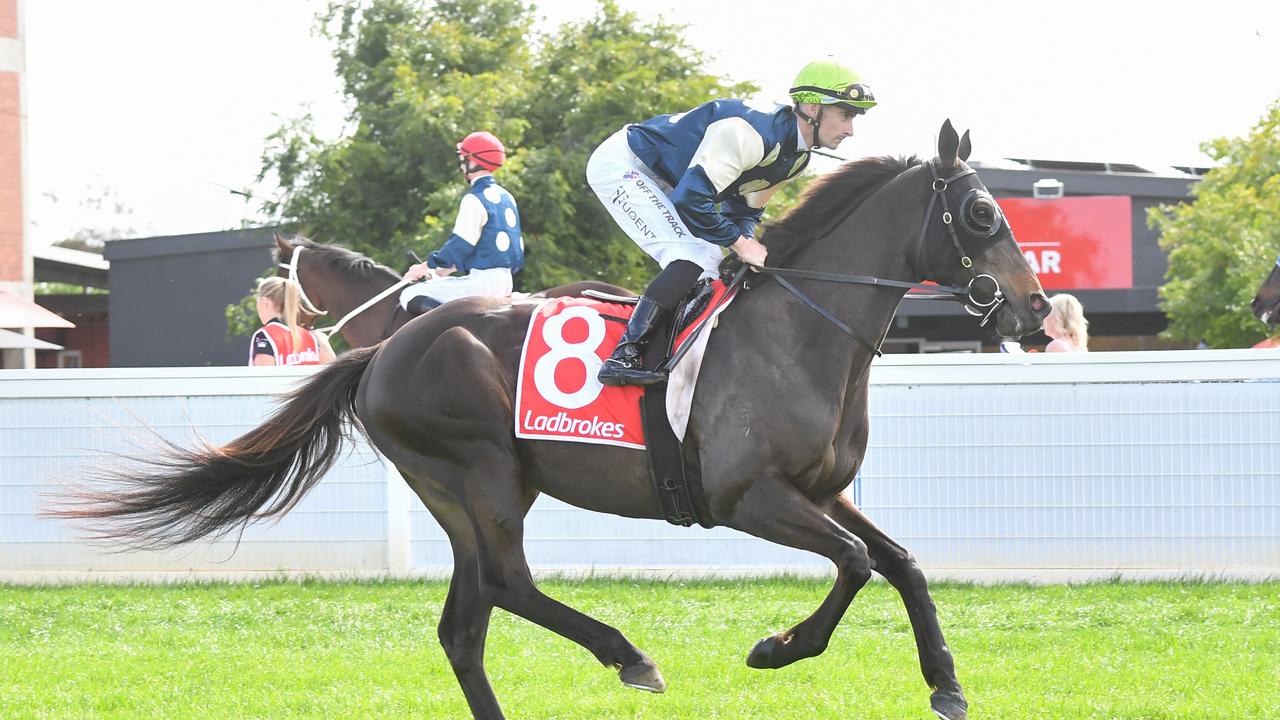 Interpretation is trained by Ireland’s Ciaran Maher. (Pat Scala/Racing Photos via Getty Images)