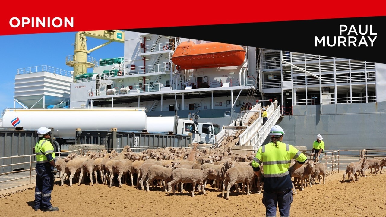 Pub Test: Should live export trade be banned?