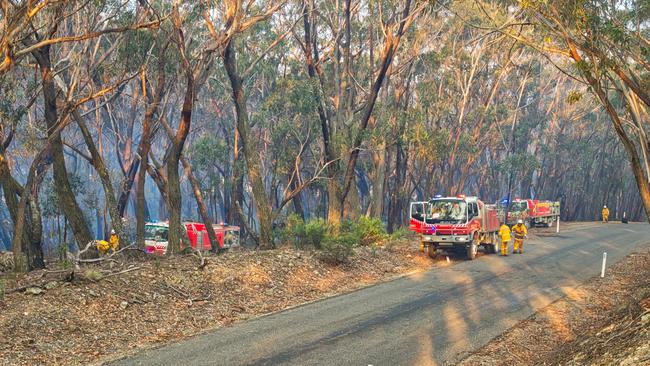 Smoke feels the bush near Bannaby east of Taralga. Picture: Timothy Dean/SWA.