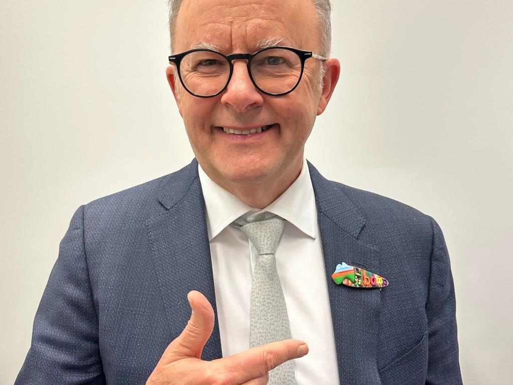 Prime Minister Anthony Albanese wears a brooch made by Hunter and Co designs, who are based in Alice Springs.