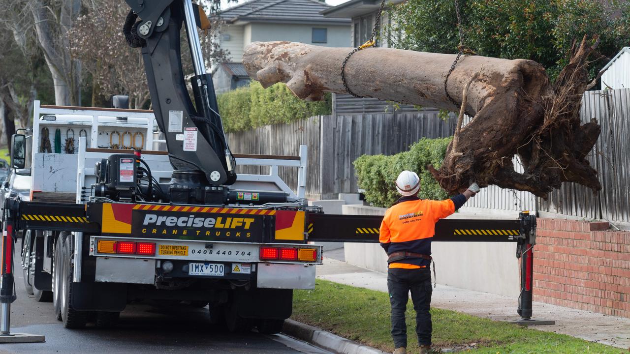 A truck takes away the trunk of the tree that fell and killed a four-year-old boy in Blackburn South. Picture: Tony Gough