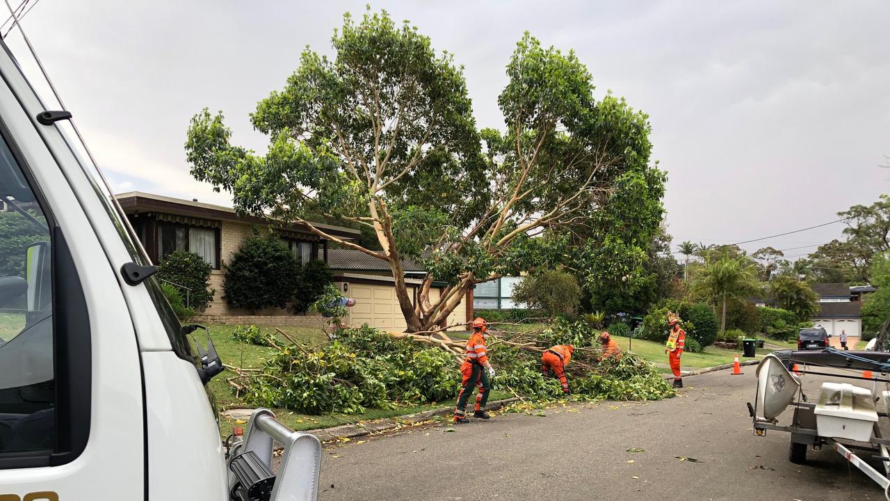 SES working in Greendale Ave, Frenchs Forest, after storm brings down trees: Picture: Jim O'Rourke.