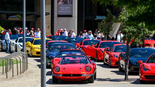 National Ferrari Owners club meet at Adelaide Oval. Photo: Naomi Jellicoe