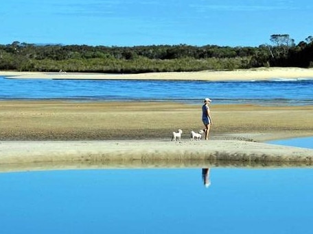 Noosa's popular dog beach is ready to be restored as part of record Noosa Budget capital works spend.