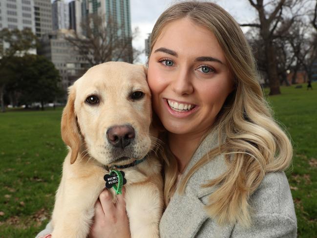 Labrador Retrievers are the most popular dog in both Victoria and Australia wide according to dog registration figures, Sarah Pettiford with Peanut the 5 month old Labrador.  Picture: Alex Coppel.