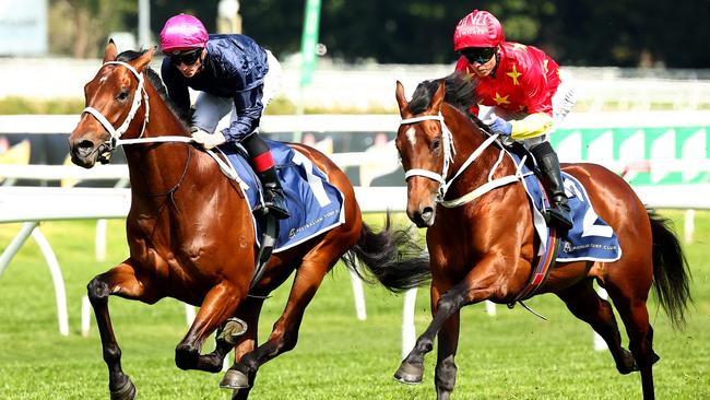 James McDonald (navy) aboard Shinzo in an exhibition gallop in Sydney last month. Picture: Jeremy Ng–Getty Images