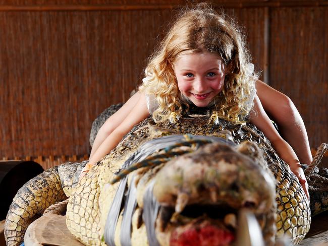 2017: Amelia Cross, 6, gets cozy with a saltwater crocodile before he is moved into a new pen at Crocodylus Park. Picture: Elise Derwin