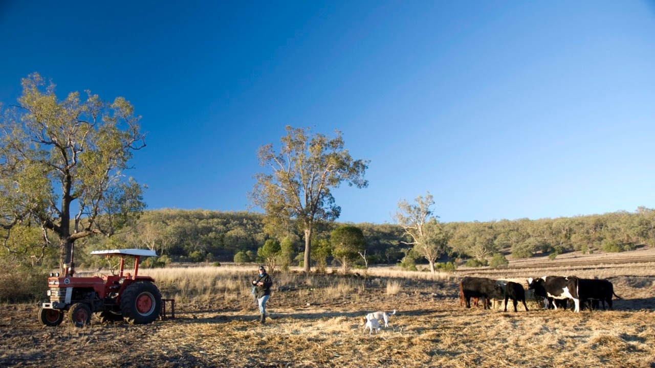 Mental health situation among farmers 'desperate' as drought worsens