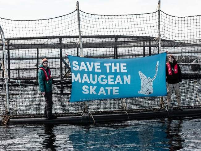 Bob Brown Foundation activists putting up a banner on a salmon pen in Macquarie Harbour.