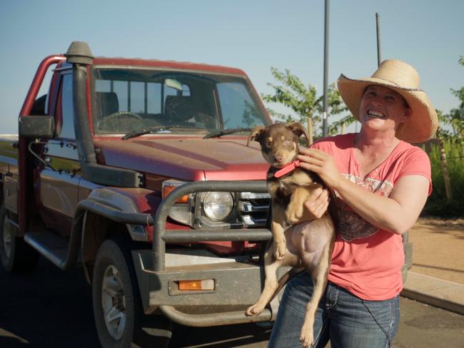 Bluey? Red Dog? Try the real thing
