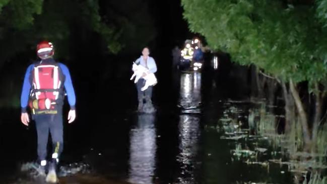 The team in Condobolin successfully performed multiple flood rescues, including the retrieval of a furry friend from the dangerous flood waters. , Picture: NSW SES