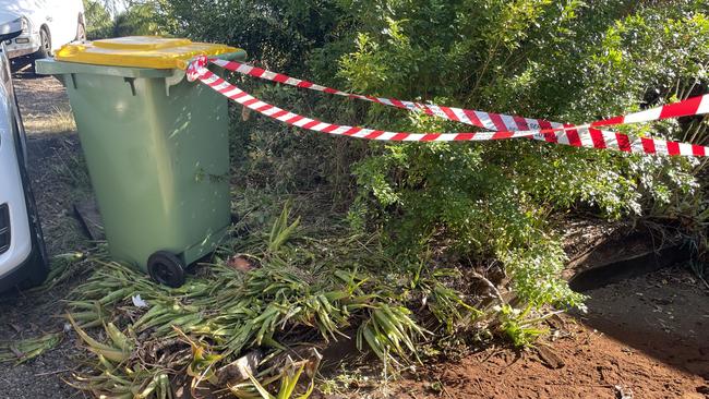 “The car did a bit of gardening,” the owner’s son Jarrod Dan said. Picture: Christine Schindler