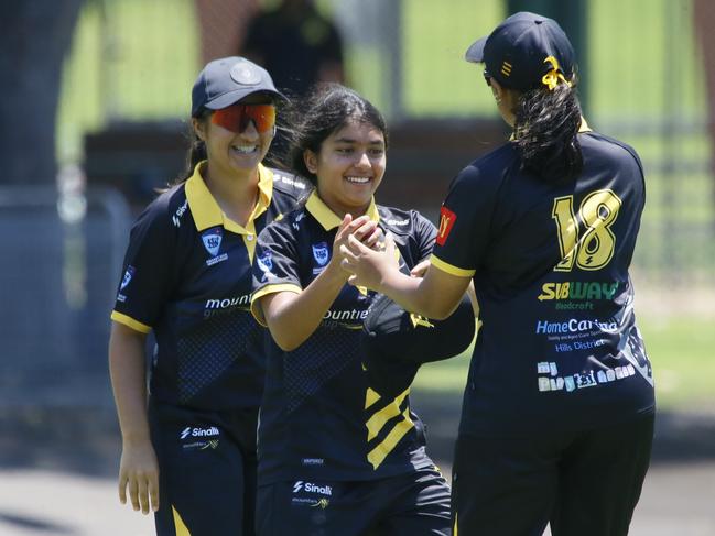 Blacktown players celebrate a wicket. Picture Warren Gannon Photography