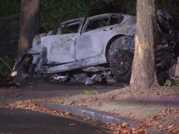 The car burst into flames after hitting a tree. Picture: ABC News