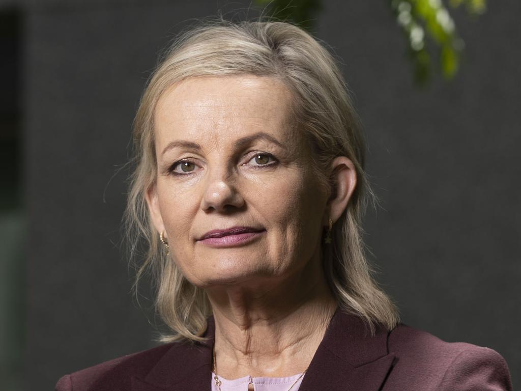 PM ‘leveraging voice for own political gain’