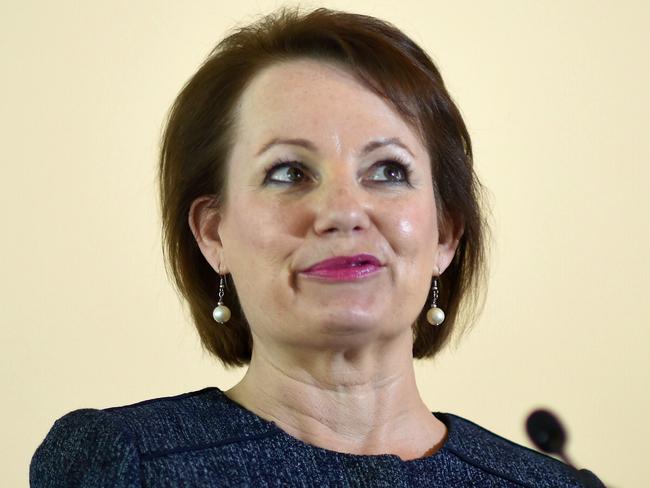 The Federal Health Minister has been stood down from her role pending an investigation. Picture: Lukas Coch/AAP