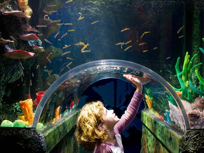Winners: SEA LIFE Melbourne Aquarium annual passes
