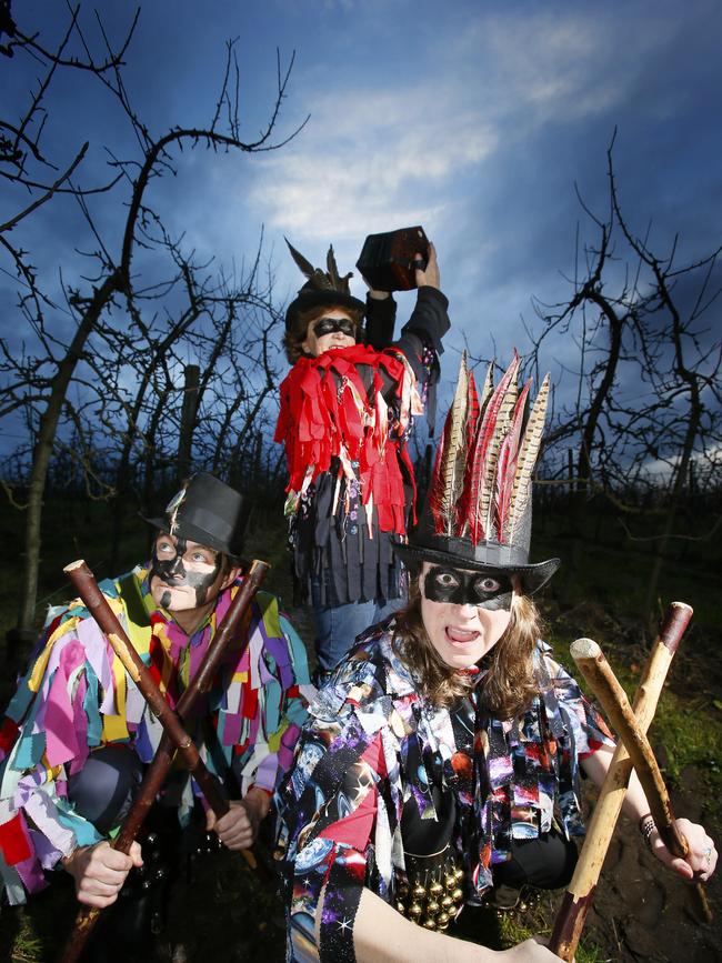 Huon Valley Mid Winter Fest organiser Sam Reid with morris dancers Di Davies and Tasha Erker in the apple orchard getting ready for wassailing (wasselling) the apple trees
