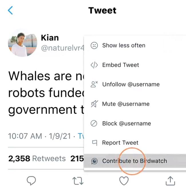 The Birdwatch feature is being rolled out in the US first and users can open a menu on tweets to contribute.