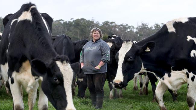 Victorian farmer Donna Edge has been selling her milk to Murray Goulburn. Pic: David Geraghty