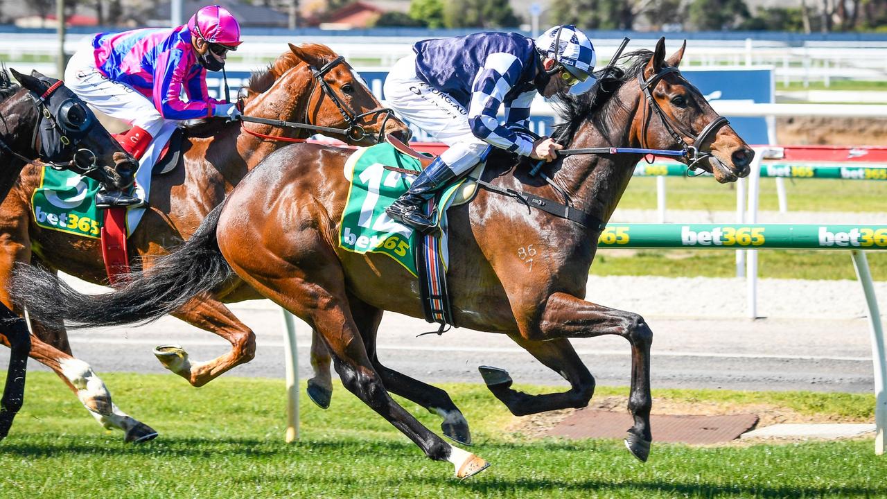 Young Werther under Damien Oliver easily wins at Geelong on debut.