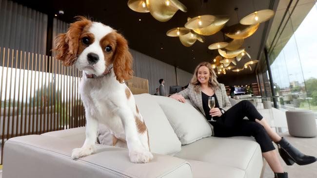 Hotel guest Lucy McDonough with Charli the dog at the Oval Hotel. Picture: NCA NewsWire / Kelly Barnes