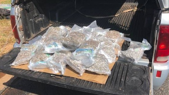 Cannabis police found at Dunedoo, in the back of a vehicle driven by drug mule Jeffrey Mears. Picture: NSW Police