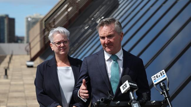 Energy and Climate Change Minister unveiled the National Capacity Investment Scheme which will underwrite funding in green energy projects. Picture: NCA NewsWire / David Swift