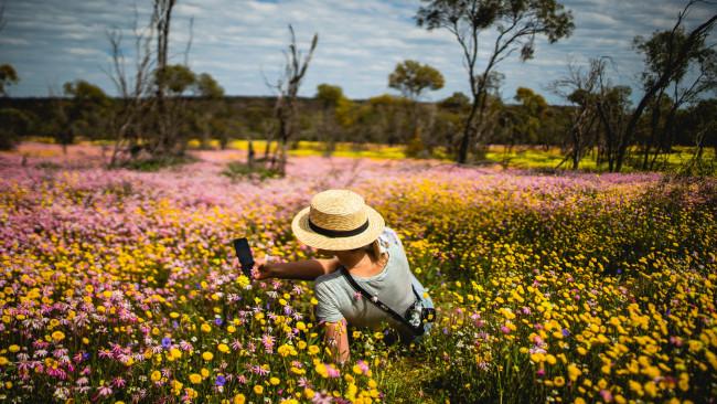 53/71Coalseam Conservation Park - Western Australia
Down on the Coral Coast in winter, Coalseam Conservation Park explodes in an incredible array of wildflowers. Dose up on the antihistamine (responsibly, of course) and get up there. Picture: Tourism Western Australia