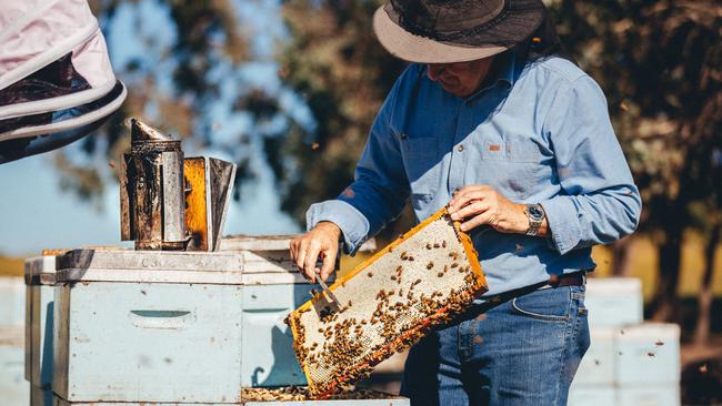 A sizeable proportion of the foods and other grocery items Australians buy every day are made in regional Australia.