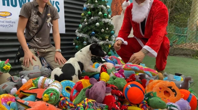 Lilly Pilly is given the opportunity to pick her perfect present. Picture: Pet Circle