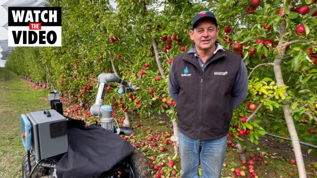 Robots picks apples in seconds