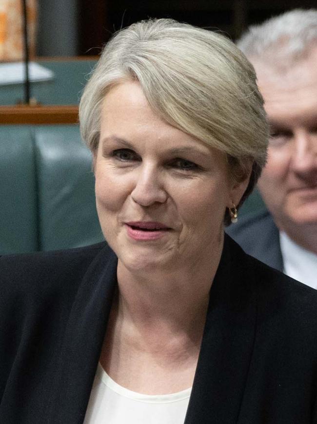 Federal Environment Minister Tanya Plibersek. Picture: NCA NewsWire / Gary Ramage