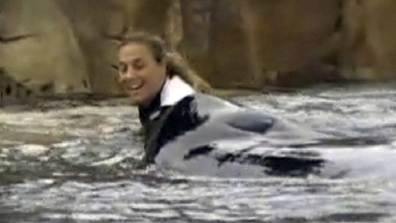 Dawn was regarded as the ‘Poster Girl’ for SeaWorld. Picture: AP/Todd Connell.