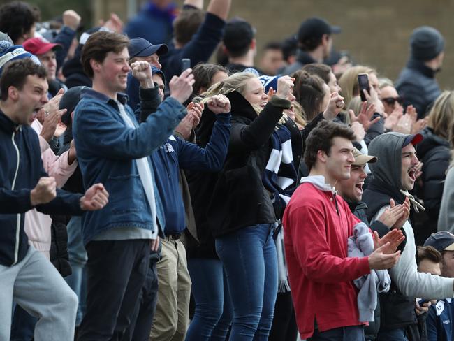 Fans celebrate at the Premier C grand final. Picture: David Crosling