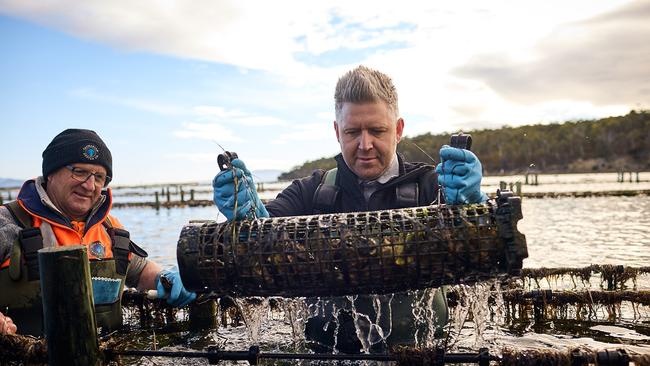 Peppina culinary director Massimo Mele, gathering seafood.