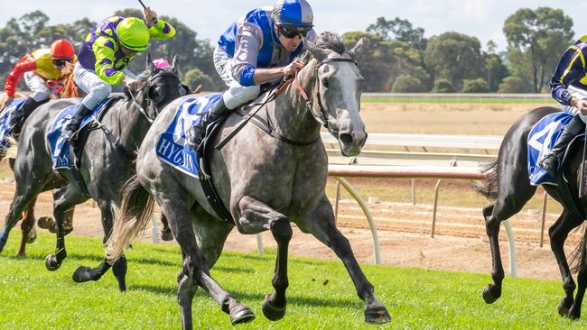 Arqana could continue her rapid improvement with a light weight at Caulfield on Saturday. Picture: Racing Photos via Getty Images.