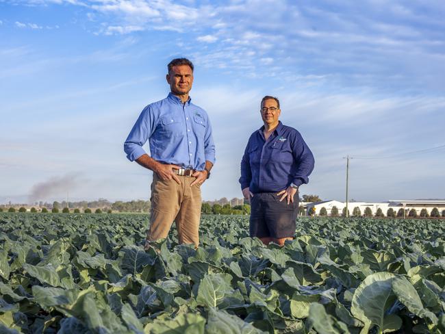 New breed: Brothers Matt and Dan Hood are driving one of Australia’s biggest vegetable-growing operations.