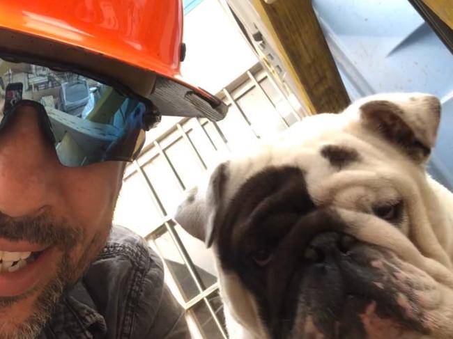 Frank the bulldog  who died on QANTAS flight from Sydney to Melbourne pictured with his owner Anthony Balletta. Source: Facebook Anthony Balletta https://www.facebook.com/anthony.balletta.7