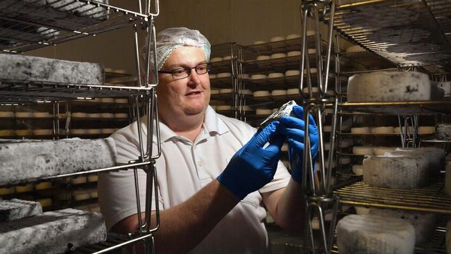 Head cheese maker at The Woombye Cheese Company Stefan Wilson with the award-winning ash brie. Photo: John McCutcheon